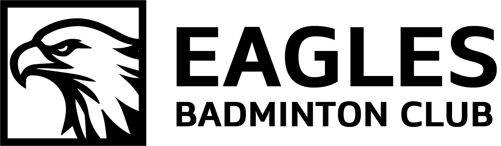 eagles logo 3